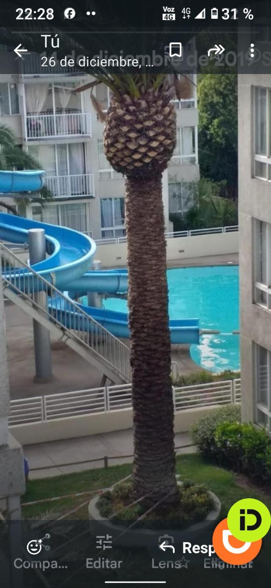 Apartamento Arriendo Por Dias Con Piscina En La Florida